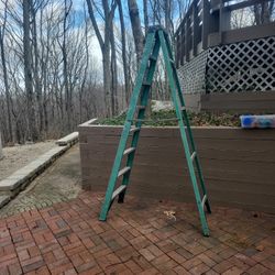 Werner 8ft ? Ladder