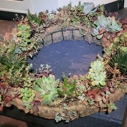 24 In Live Succulent Wreath 