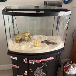 36 Gallon Fish Tank