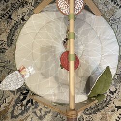 Baby Gym