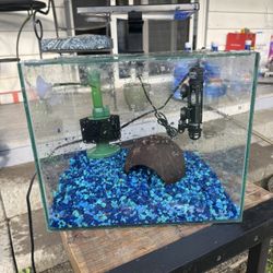 5 Gallon Aquarium 