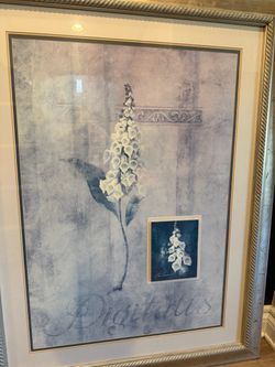 Framed 3.5’ x 4.5’ Digitalis Foxglove Botanical Print with decorative matting