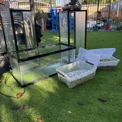 Aquariums And Miscellaneous Items For Sale