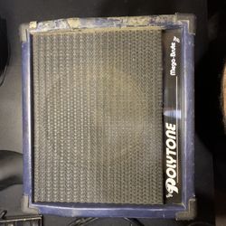 POLYTONE Mega Brute 75W Amp