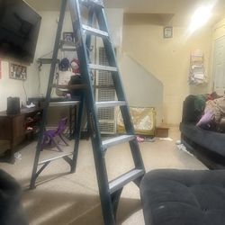 Werner 6ft Ladder