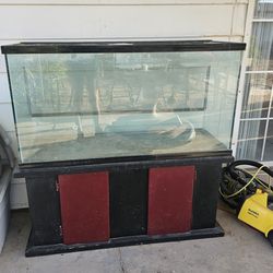 Fish / Reptile Tank