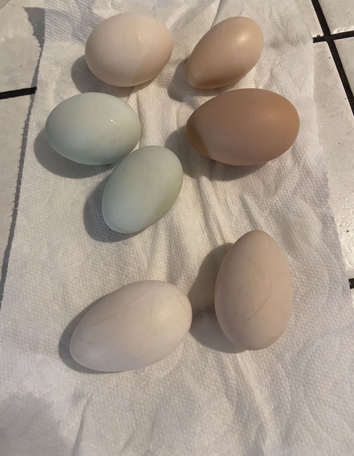Eggs Organic For Sale 12 For $8