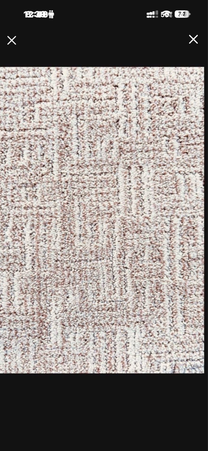 New Patterned Carpet