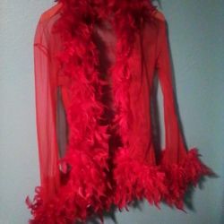 Lingurie Sheer Robe With Feather Trim 