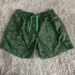 Designer Swim Trunks 