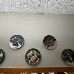 Collection Plates 