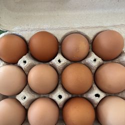 Far fresh free range eggs