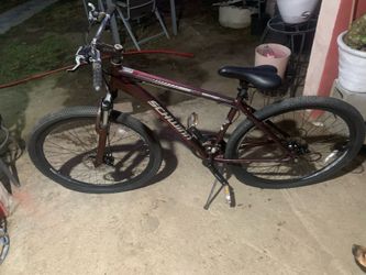 Bisikelta.  Rrin. 29