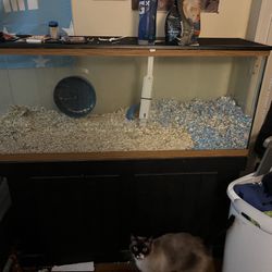 Big Fish Tank