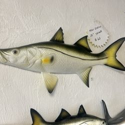 New Resin 28” Snook