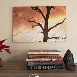 Fine Art Metal Print