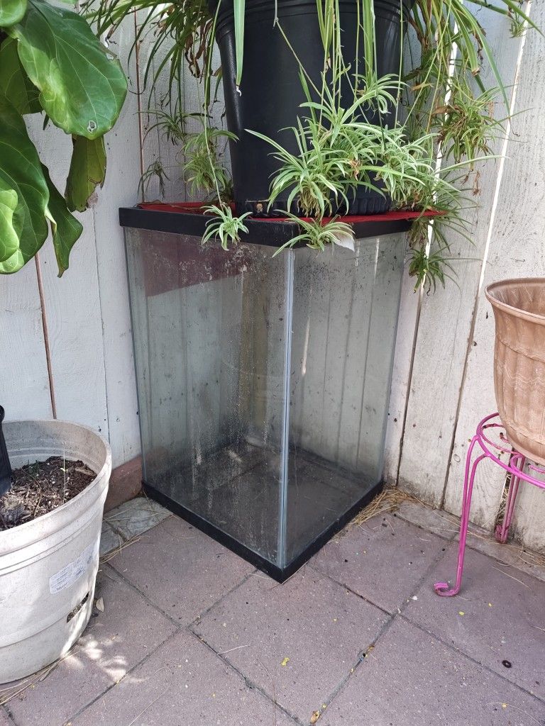 Fish Tank