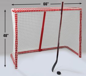 Awesome Hockey Goal