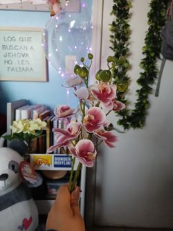 3 Orchid Stems