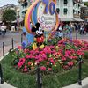 Disney Finds 