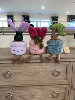 Greenhouse plush plants