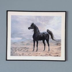Black Arabian Horse Framed Print - Mary Haggard 1980 - 29x24 Large