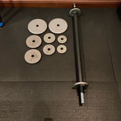 Weight Bar with 42.5lbs of Weights