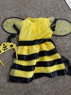 Bumblebee costume
