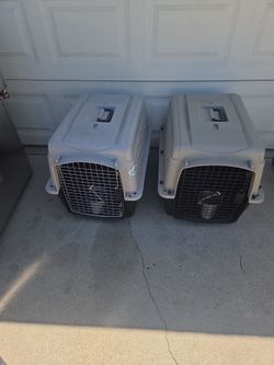 $30 Plastic dog carriers