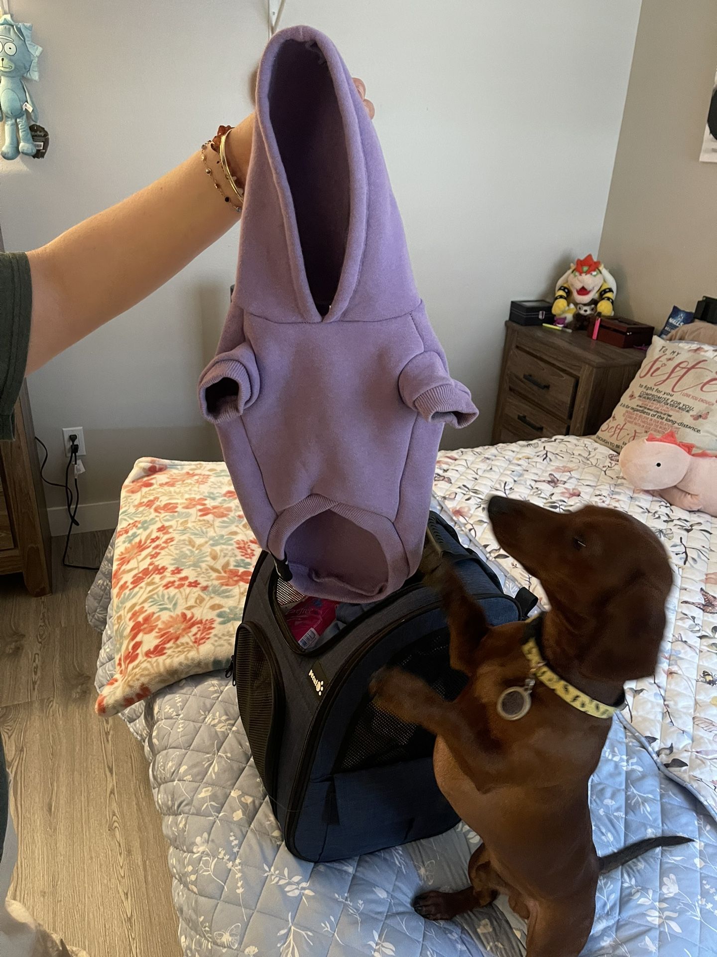 Dog Sweater