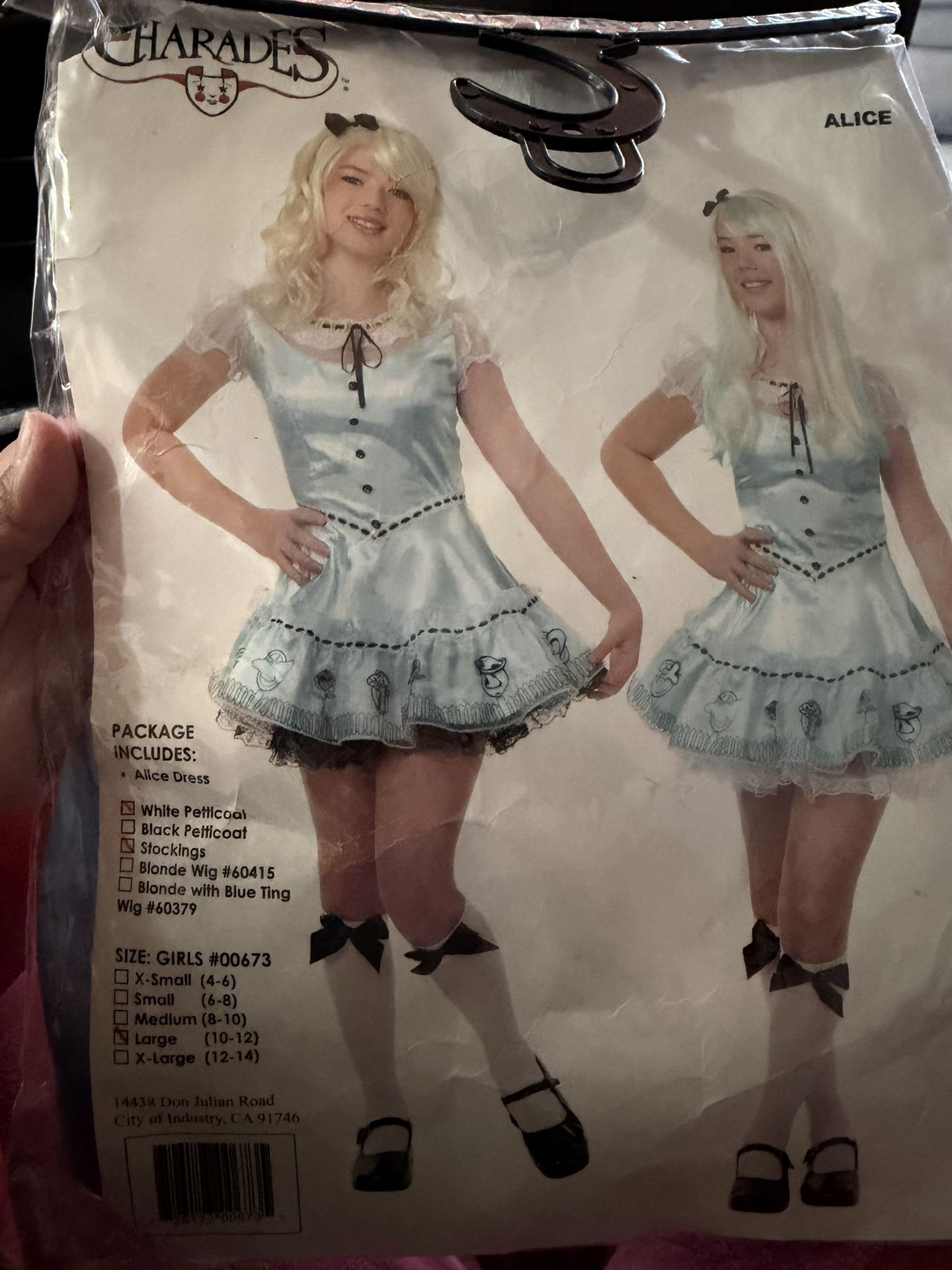 Alice in Wonderland Adult Large