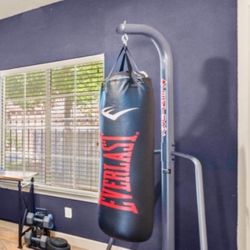 Boxing Punching Bag 