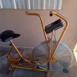 Vintage Schwinn Exercise Bike 