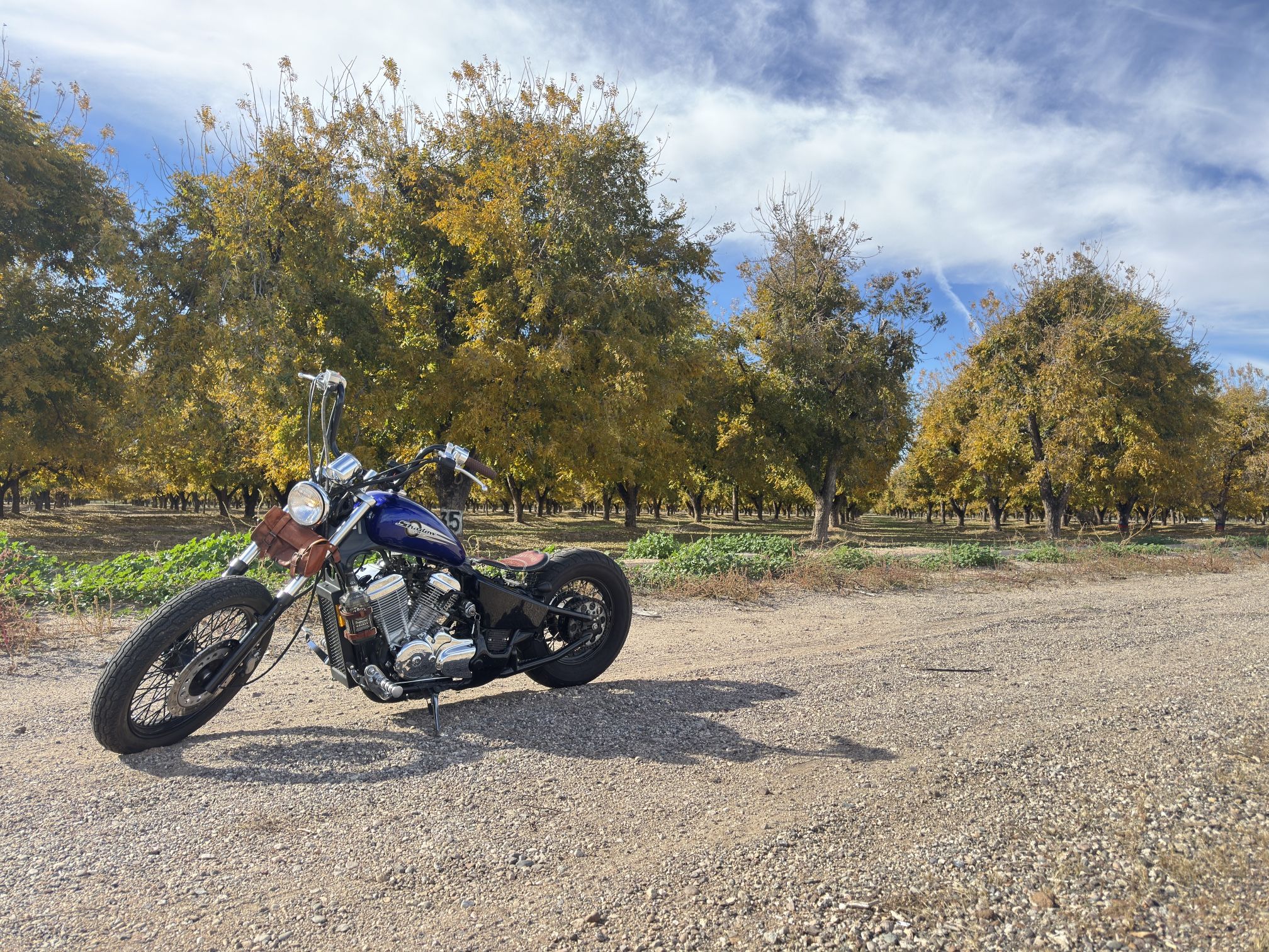 2003 Honda Shadow VLX 600