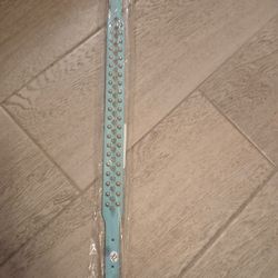 Brand New Dog Collar