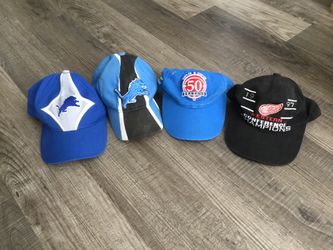 Clean Detroit lion & red wing