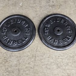 Good condition 50lb Standard 1inch Weight Plates