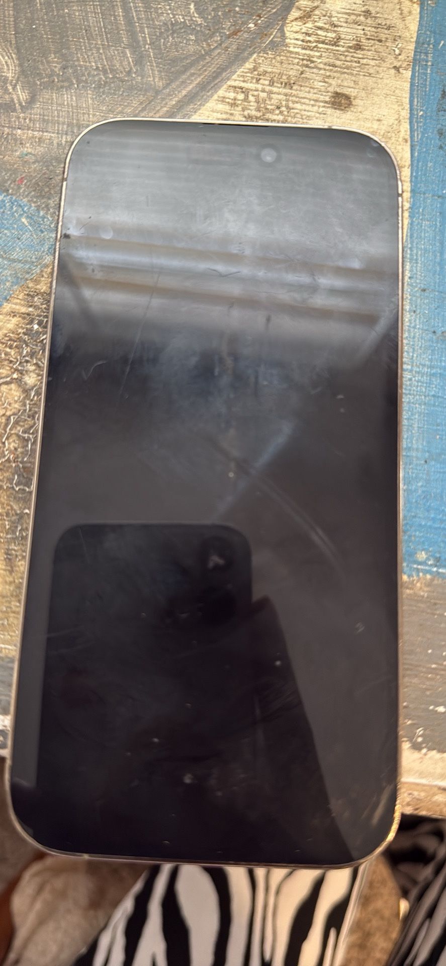iPhone 14 Pro