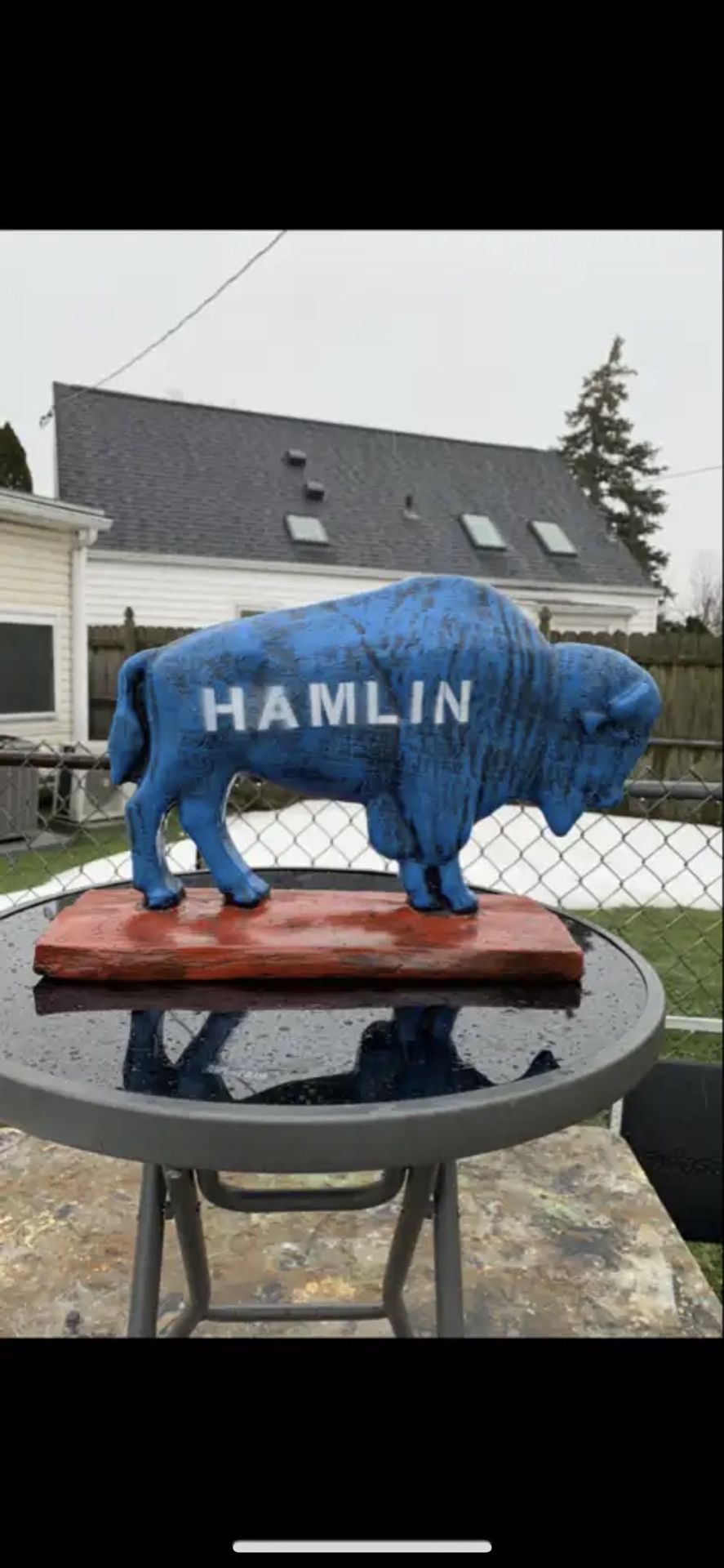 The Hamlin Buffalo