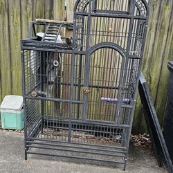 Bird Cage