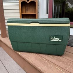 Igloo Cooler