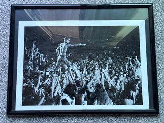 The Stooges Iggy Pop Poster Print
