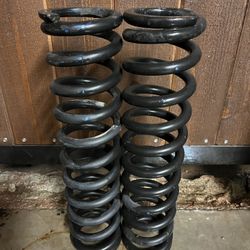 Eibach Off Road Springs 