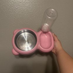 Automatic Water And Stainless Steel Feed Bowl