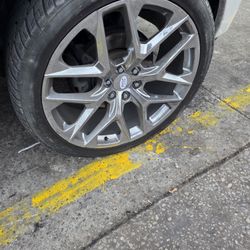 Ford F150 Wheels 24" Whit Tires