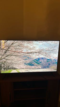 Hisense 40” Roku TV