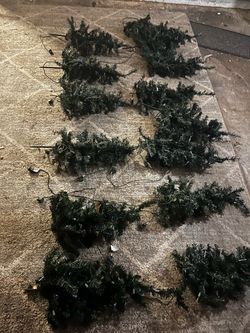 Mini Christmas Trees!
