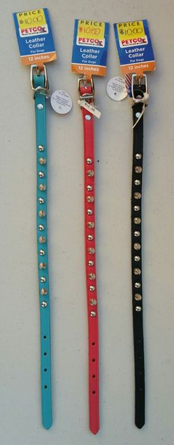 Petco Leather Spiked Dog Collar