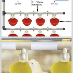 Chicken Water System