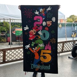 Disneyland Beach Towel